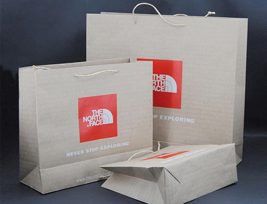 Papiertaschen mit North Face Logo
